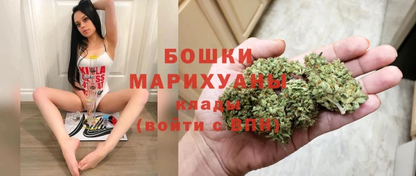 индика Надым