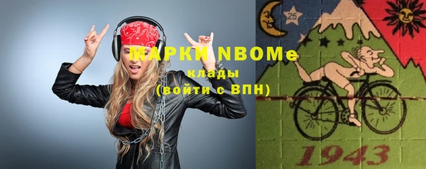 индика Надым