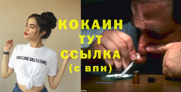 индика Надым