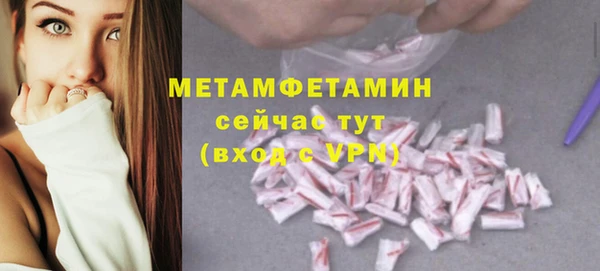 индика Надым