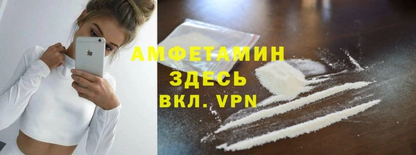 индика Надым