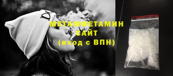 индика Надым