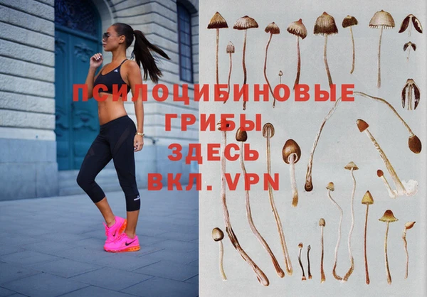 индика Надым
