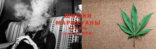 индика Надым