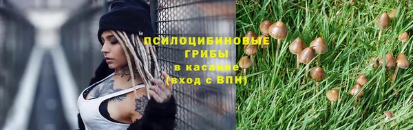 соль ск Михайловка